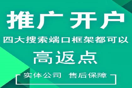 某行业头部企业信息流广告推广全解析