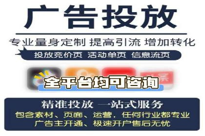 百度推广费用投入与品牌知名度提升的案例分析